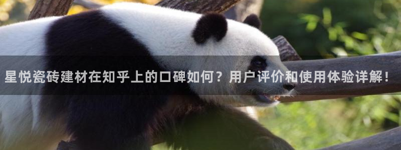 杏鑫娱乐平台
