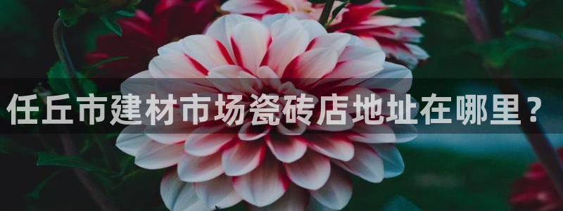 杏鑫娱乐官网下载