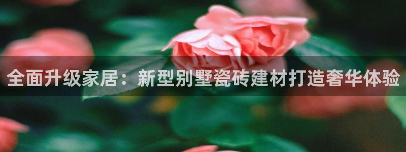 杏鑫平台靠谱吗