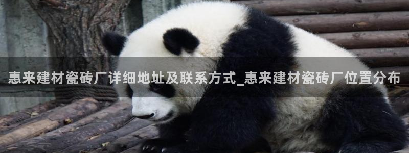杏鑫娱乐平台测速
