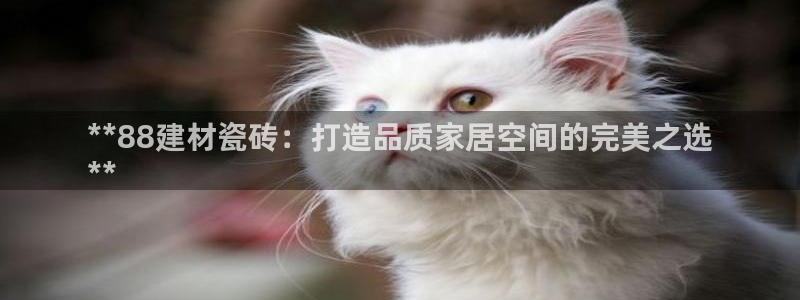 杏鑫平台野马联盟