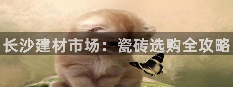 杏鑫娱乐是合法的吗?